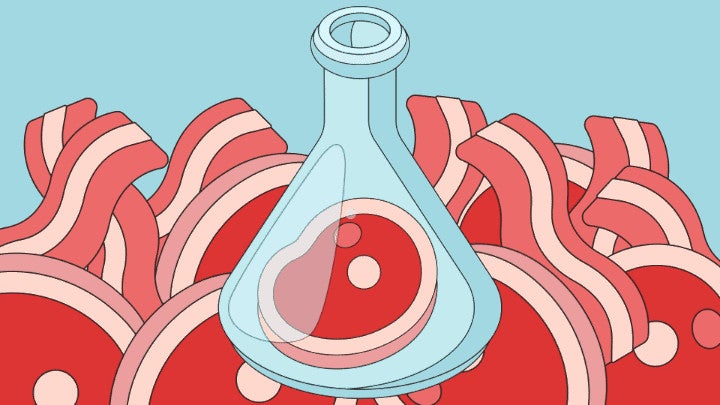 Will People Be Able To Overcome Their Disgust Of Lab grown Meat 