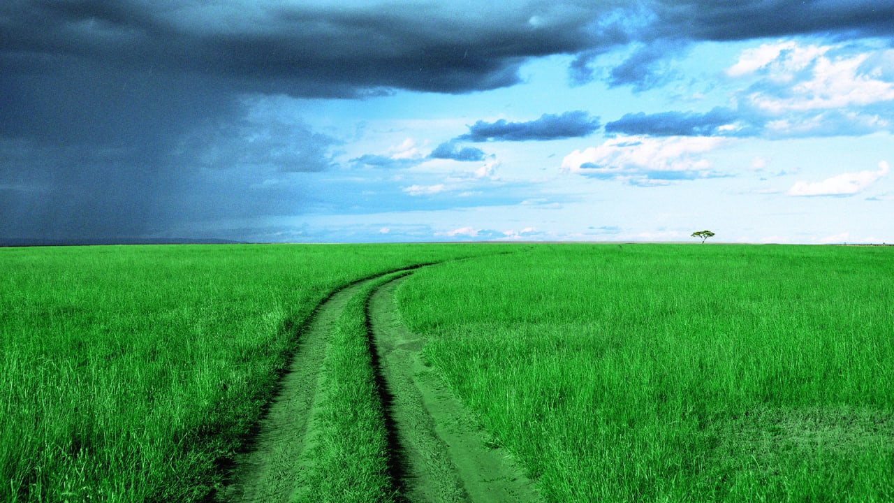 The Path To Success Is Not A Straight Line