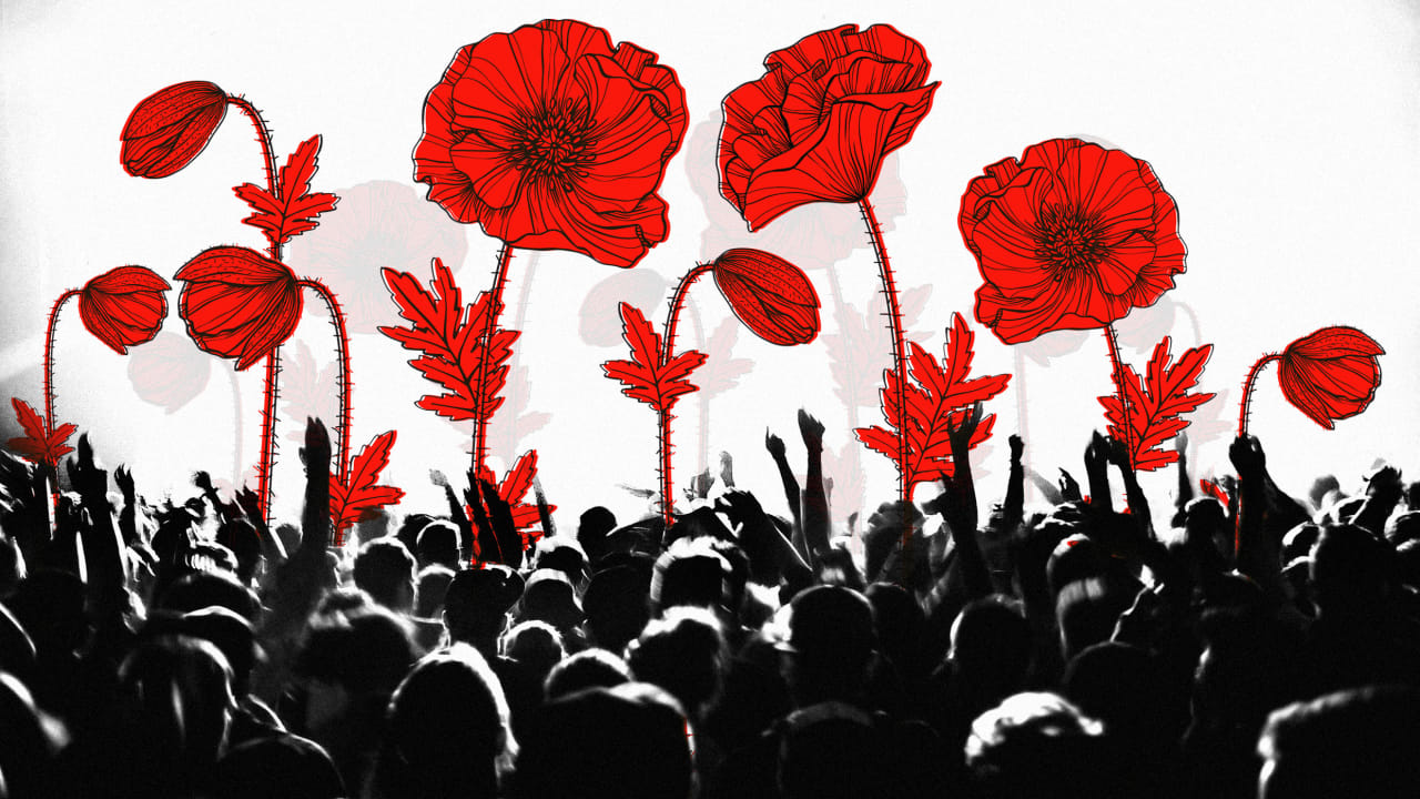 Techmeme Profile Of Tall Poppy Which Has Raised 1m Seed Round