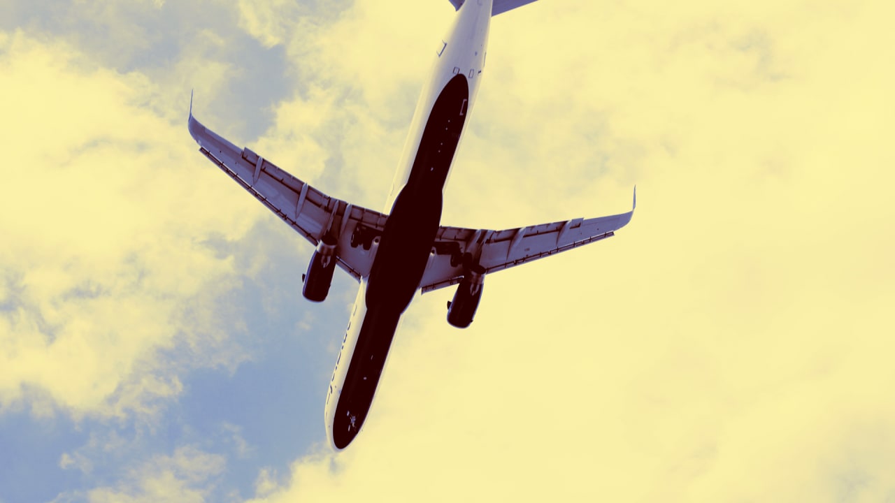 Expressjet And Envoy Air Are The Best Airlines For Pets Expressjet And Envoy Air Are The Best Airlines For Pets