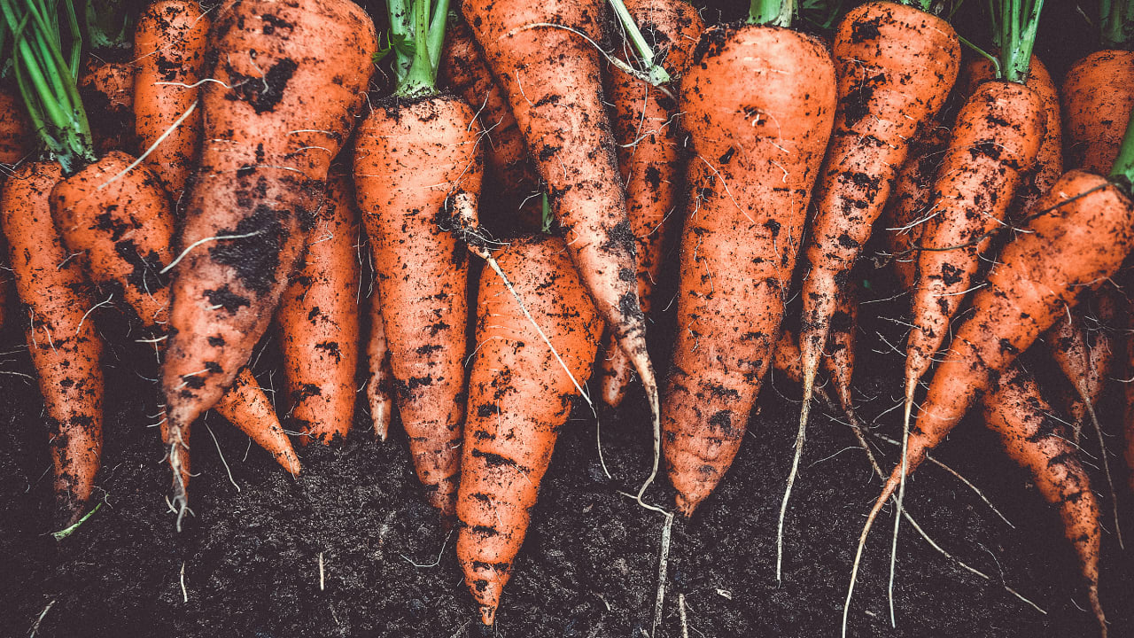 These 20 companies use food waste to make new food These 20 companies use food waste to make new food