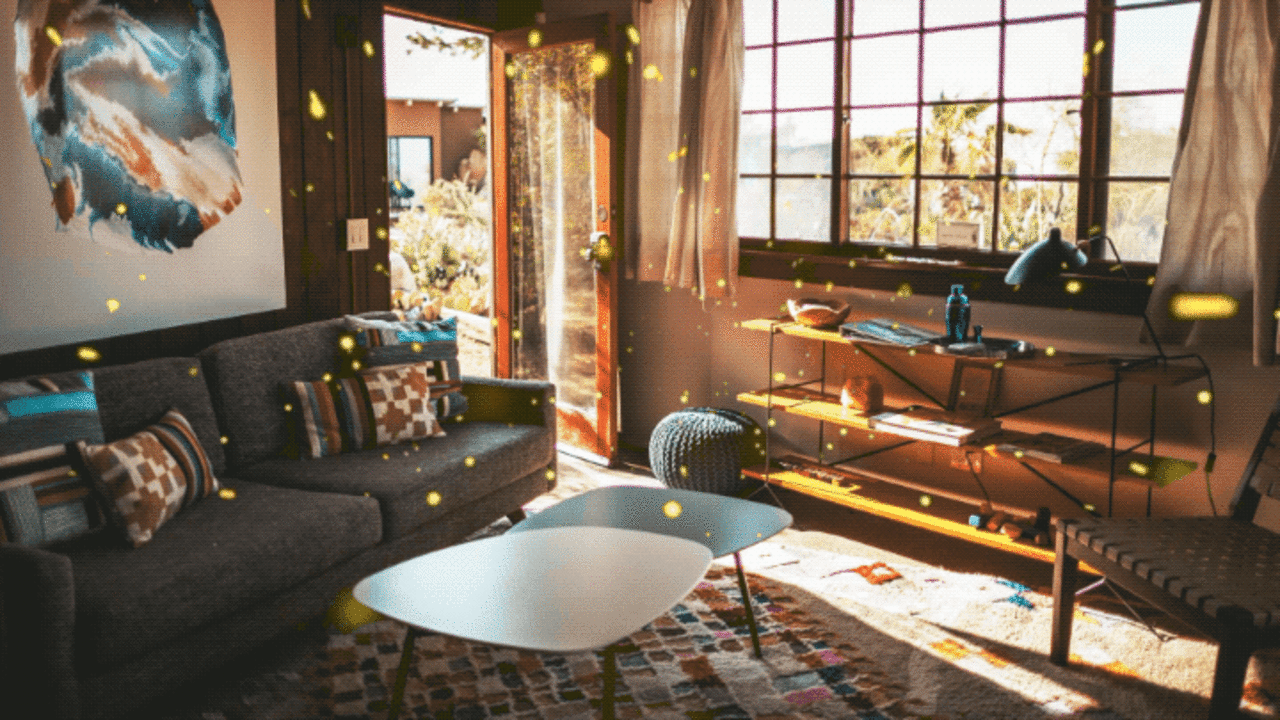 Scientists are studying the dust inside homes. Here's what they're dis