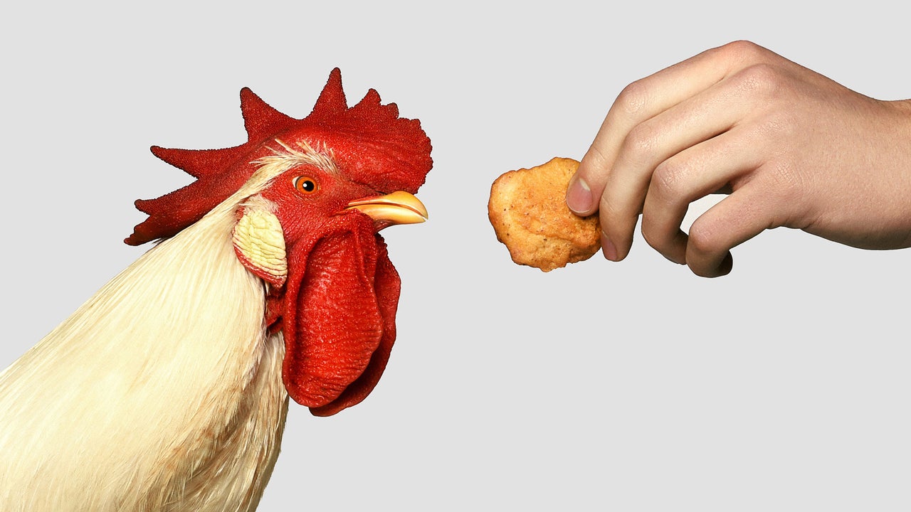 Nuggs Is The Newest Plant based Chicken Brand