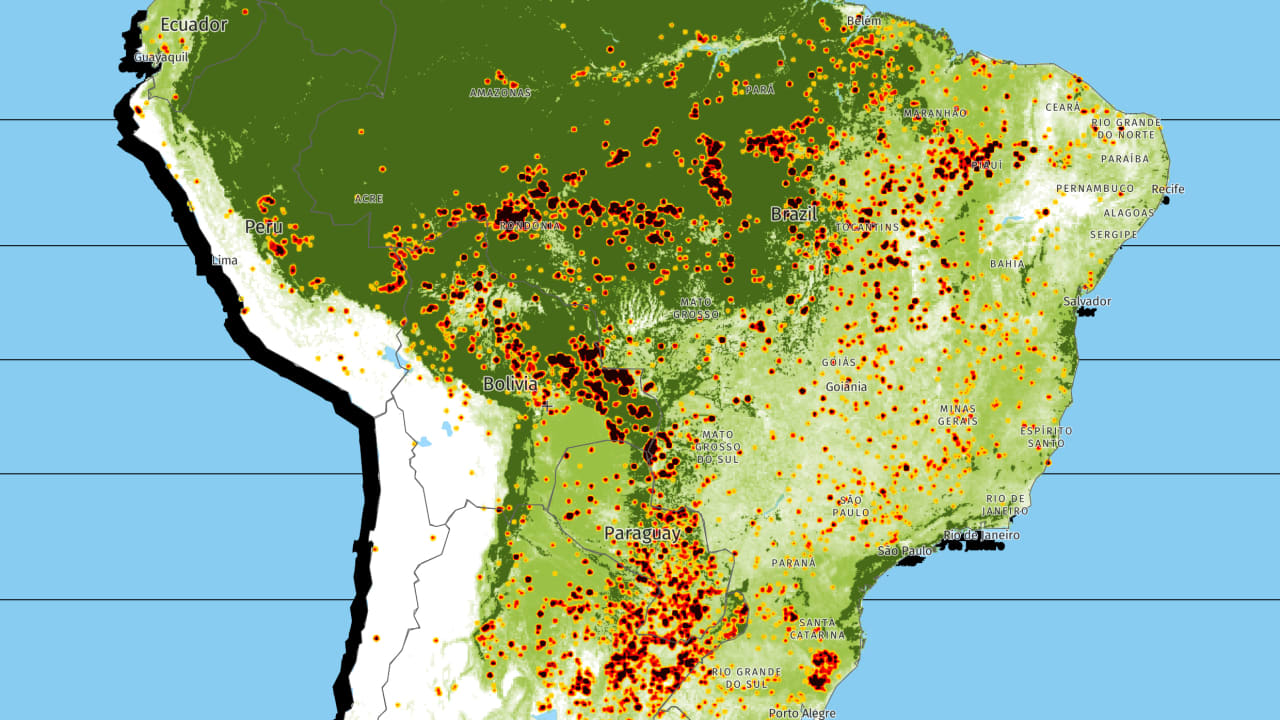 See A Real Time Map Of All The Fires Burning Down The Amazon