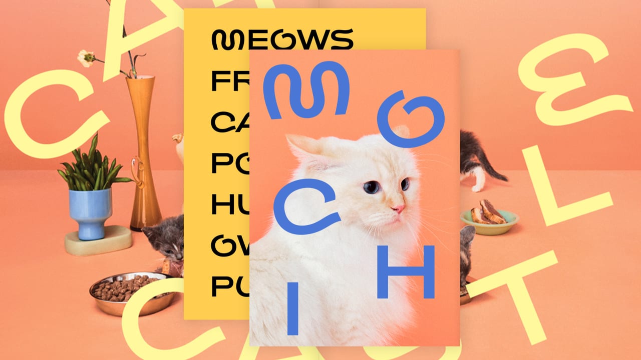 This cat font rules and dogs drool