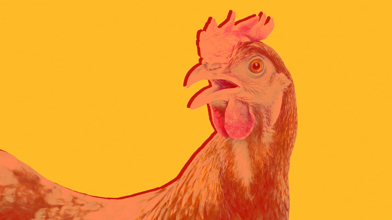 Tyson Foods recall: What to know about latest chicken contamination