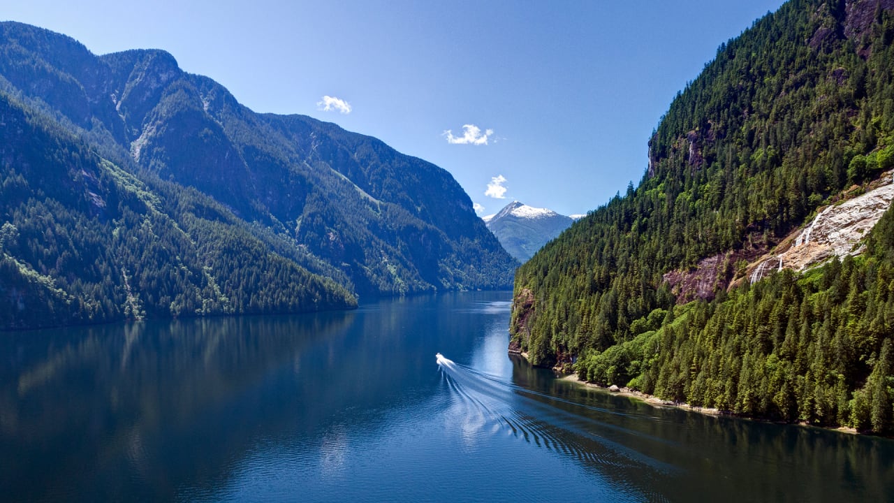 People saved this forest from logging by donating $3 million to a crowdfunding campaign