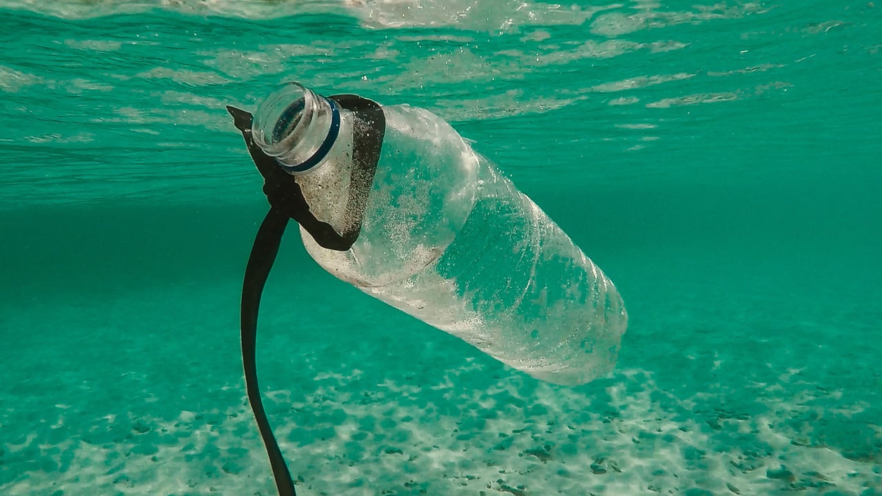 Plastic addicted Nestl Moves To Make Sustainable Packaging