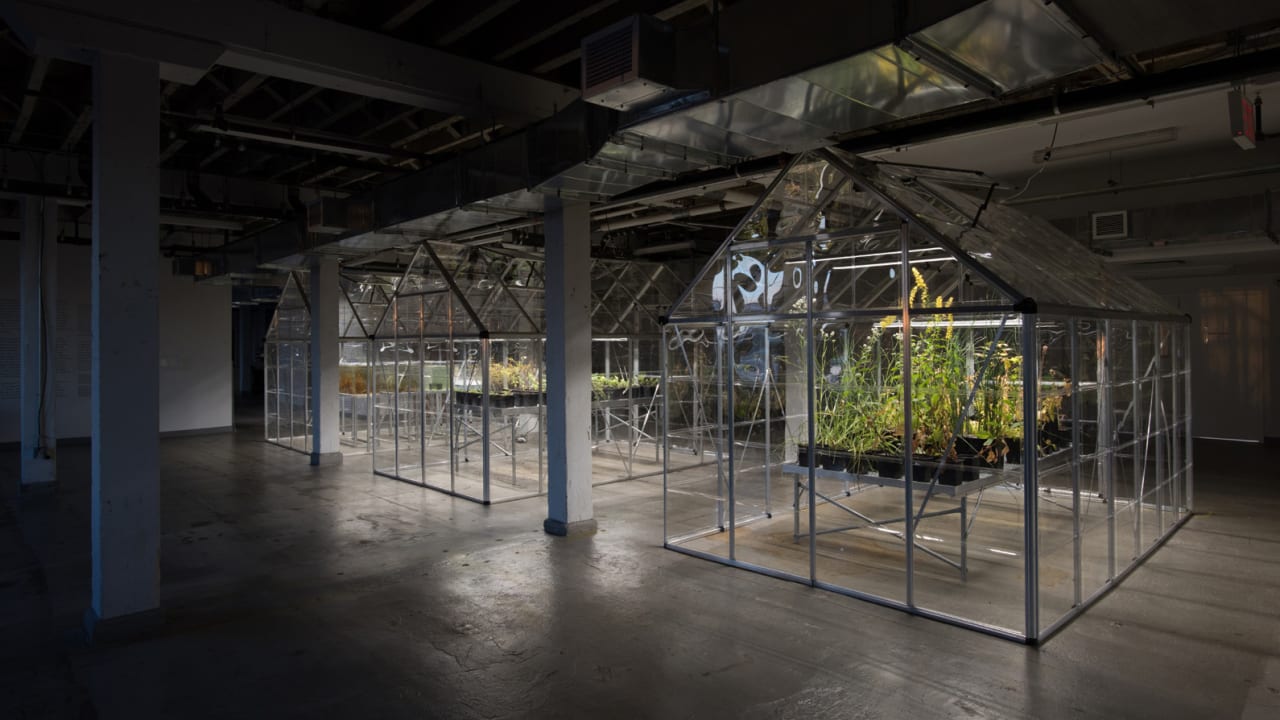 These greenhouses are display cases for New York's flora