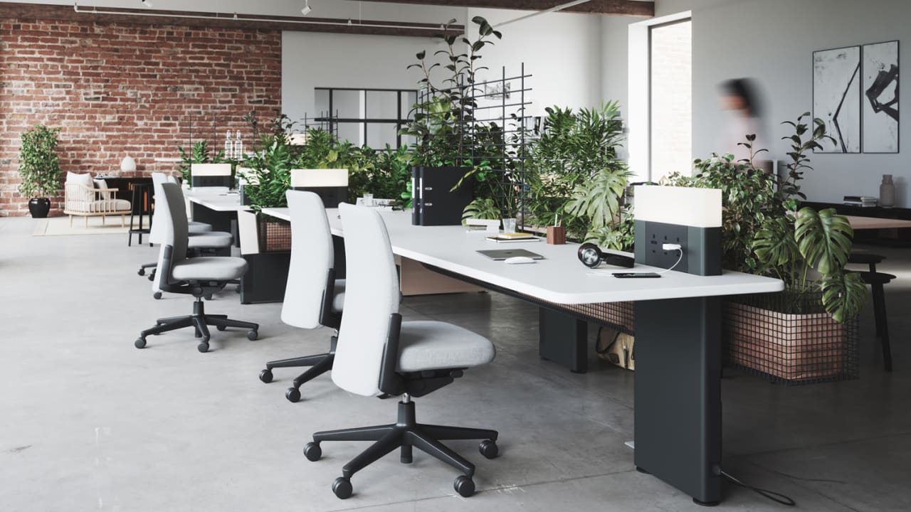 The best way to fix your open plan office? Plants, and lots of them