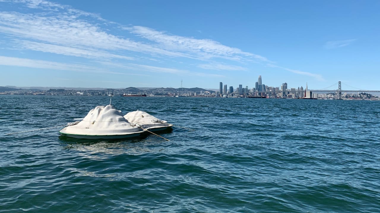 The Float Lab is an artificial habitat for sea life in San Francisco B - Fast Company