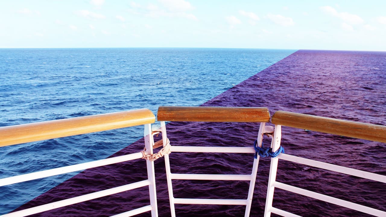 Dangerous selfies get cruise passengers banned for life