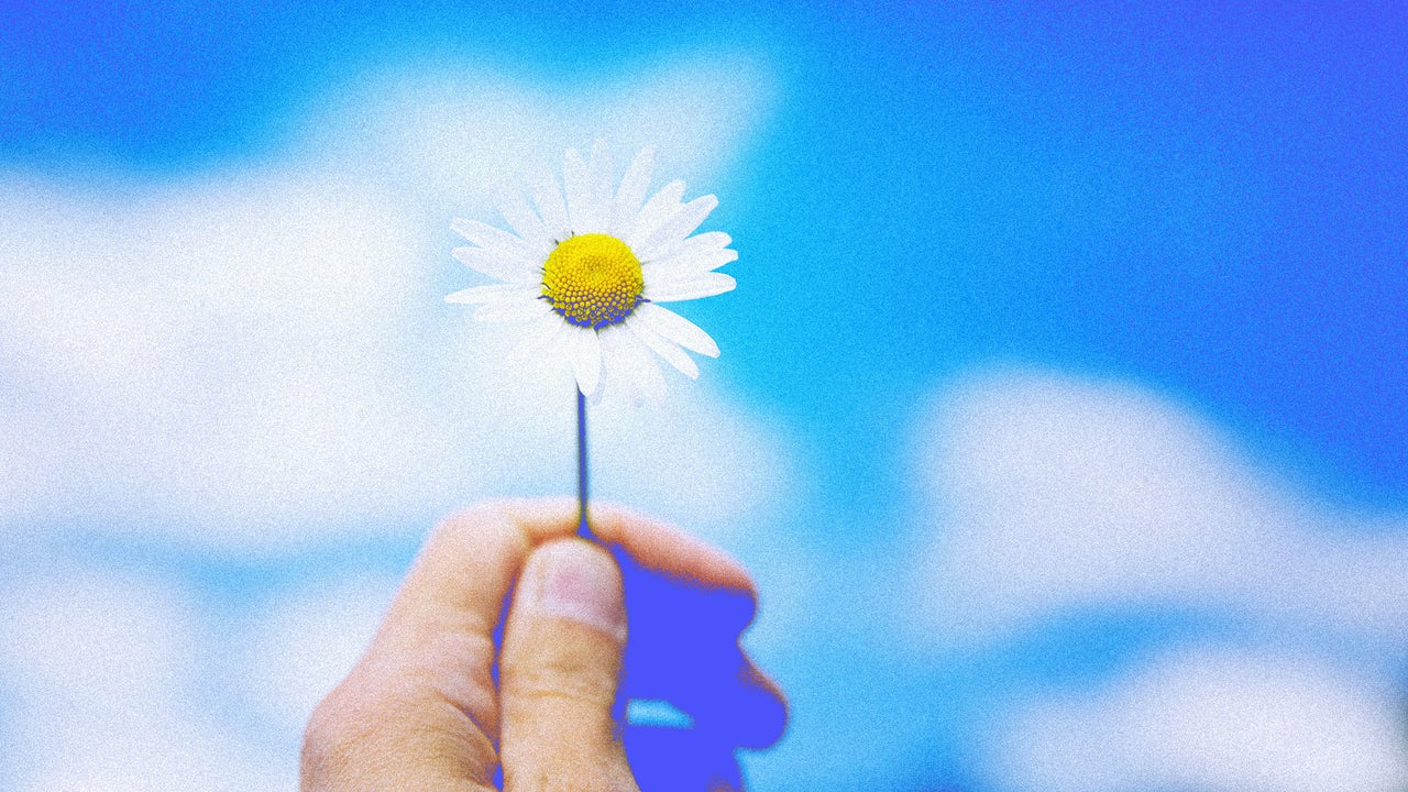 Gratitude Is The Foundation For A Better Life