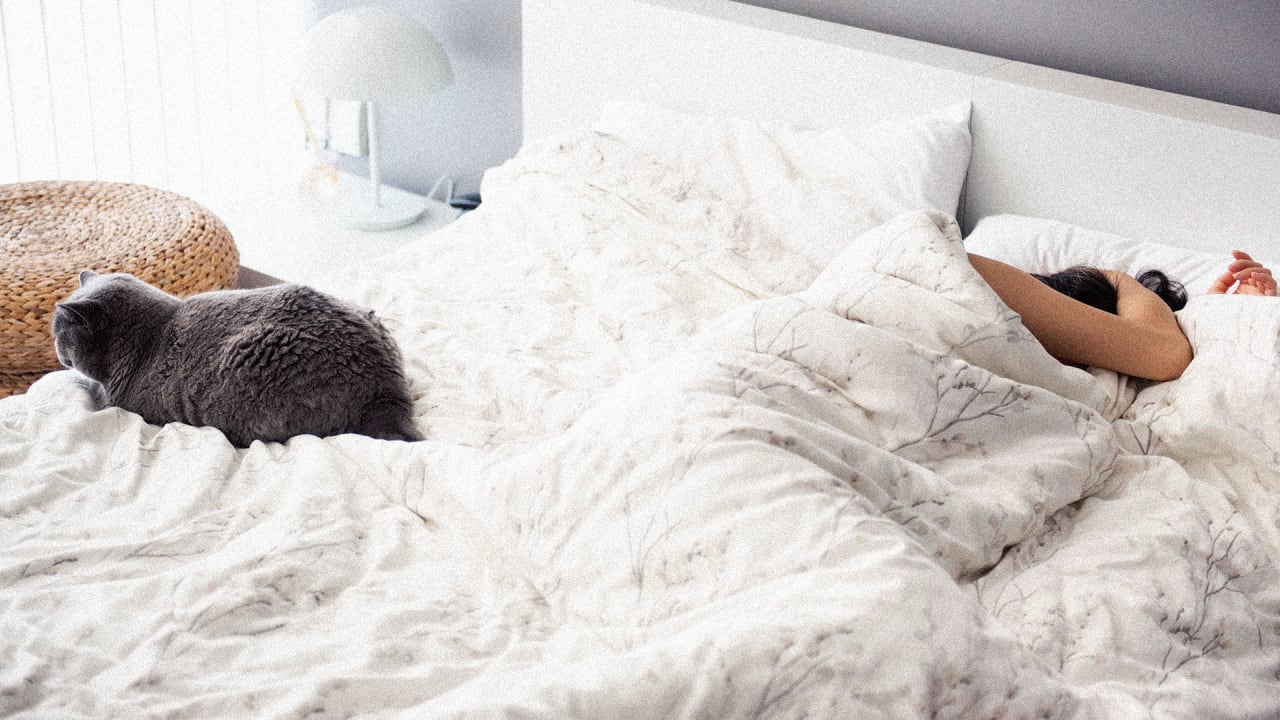 Mental strategies for overcoming procrastination