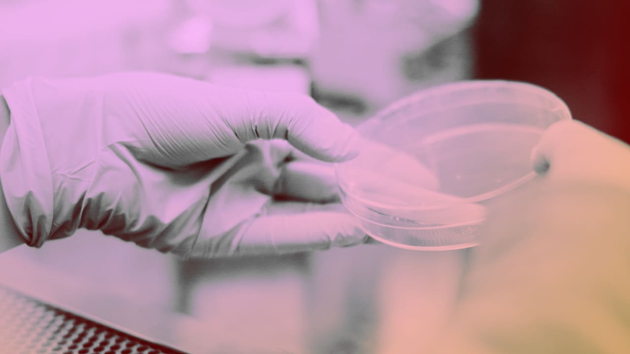 Identifying the Recalled Product