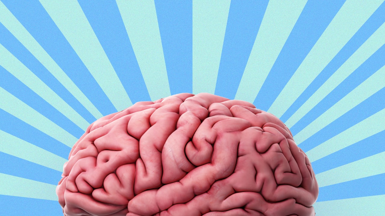 Воля про мозг. Мозг on. Музыкальный мозг. Свобода воли и мозг. * "This is your Brain on Music: the Science of a Human Obsession" - Даниэль Левитин..
