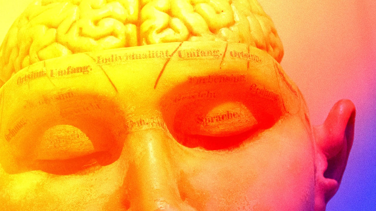 How To Train Your Brain To Make A Habit Change how-to-train-your-brain-to-make-a-habit-change