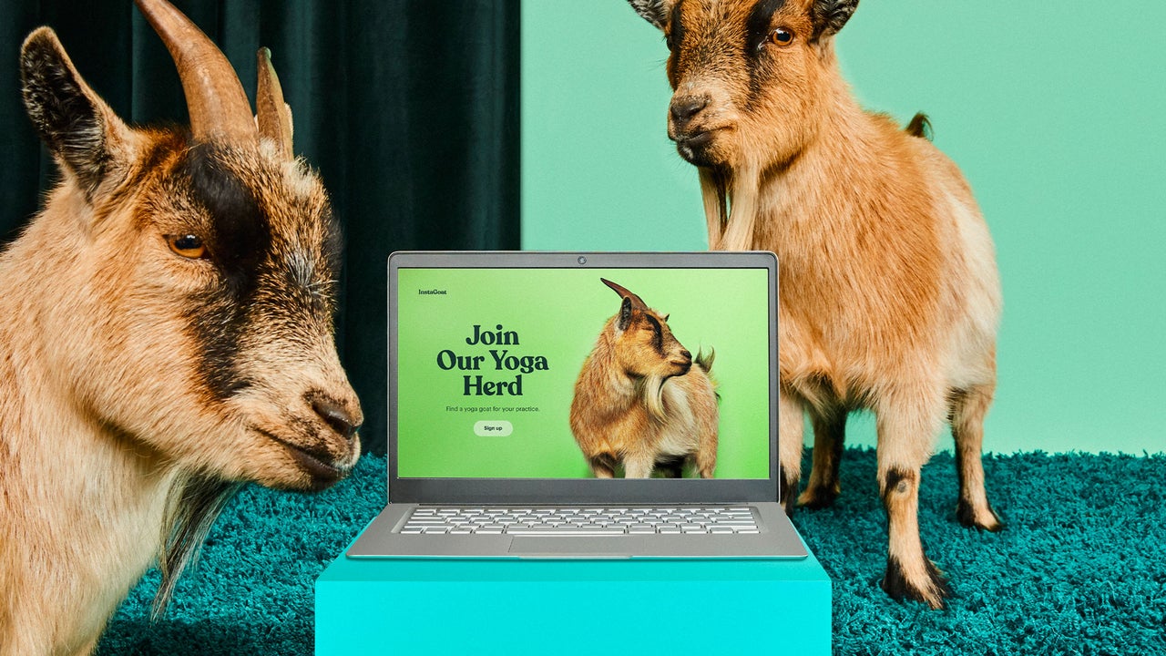 Mailchimp Offers Free Web Domains In Wake Of Coronavirus
