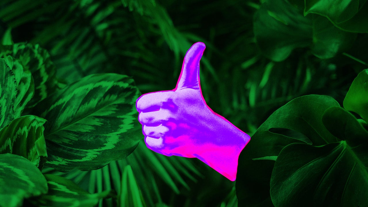 6 Qualities Recruiters Look For When Hiring