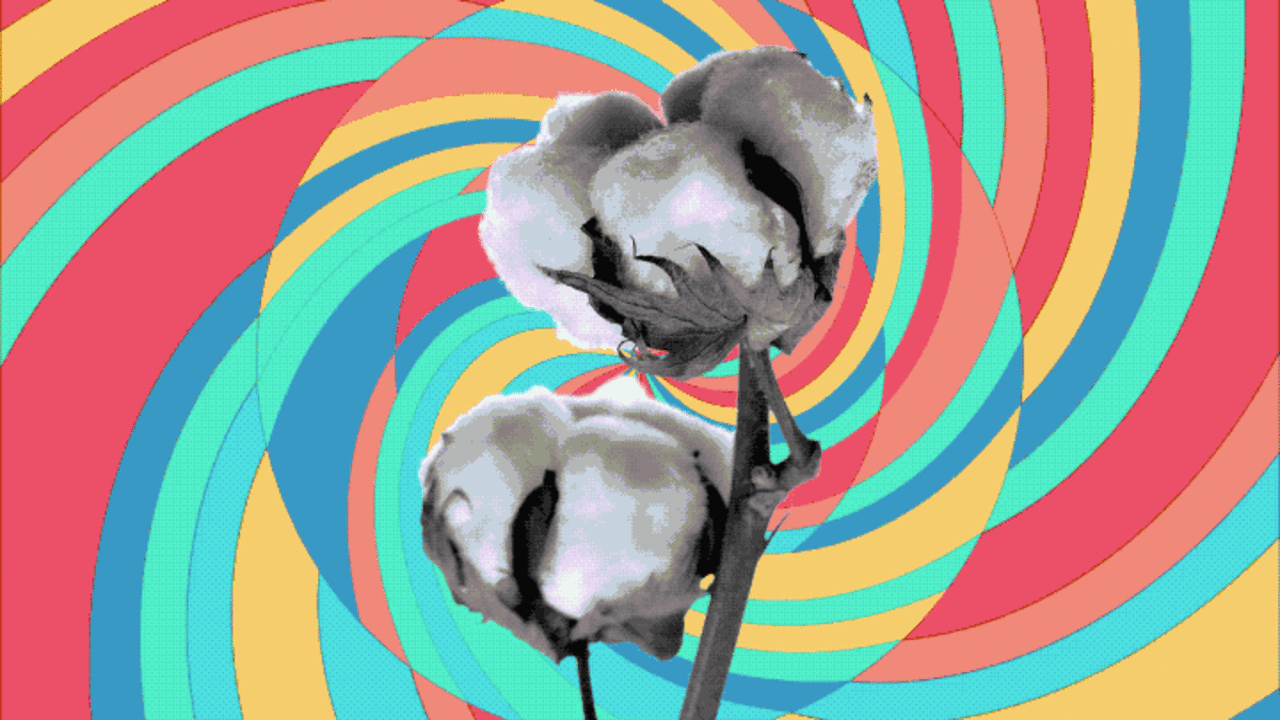 unexpected things made of cotton