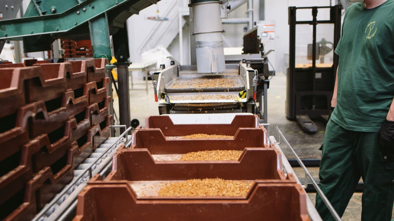 Ÿnsect's world's largest insect farm will grow millions of beetles