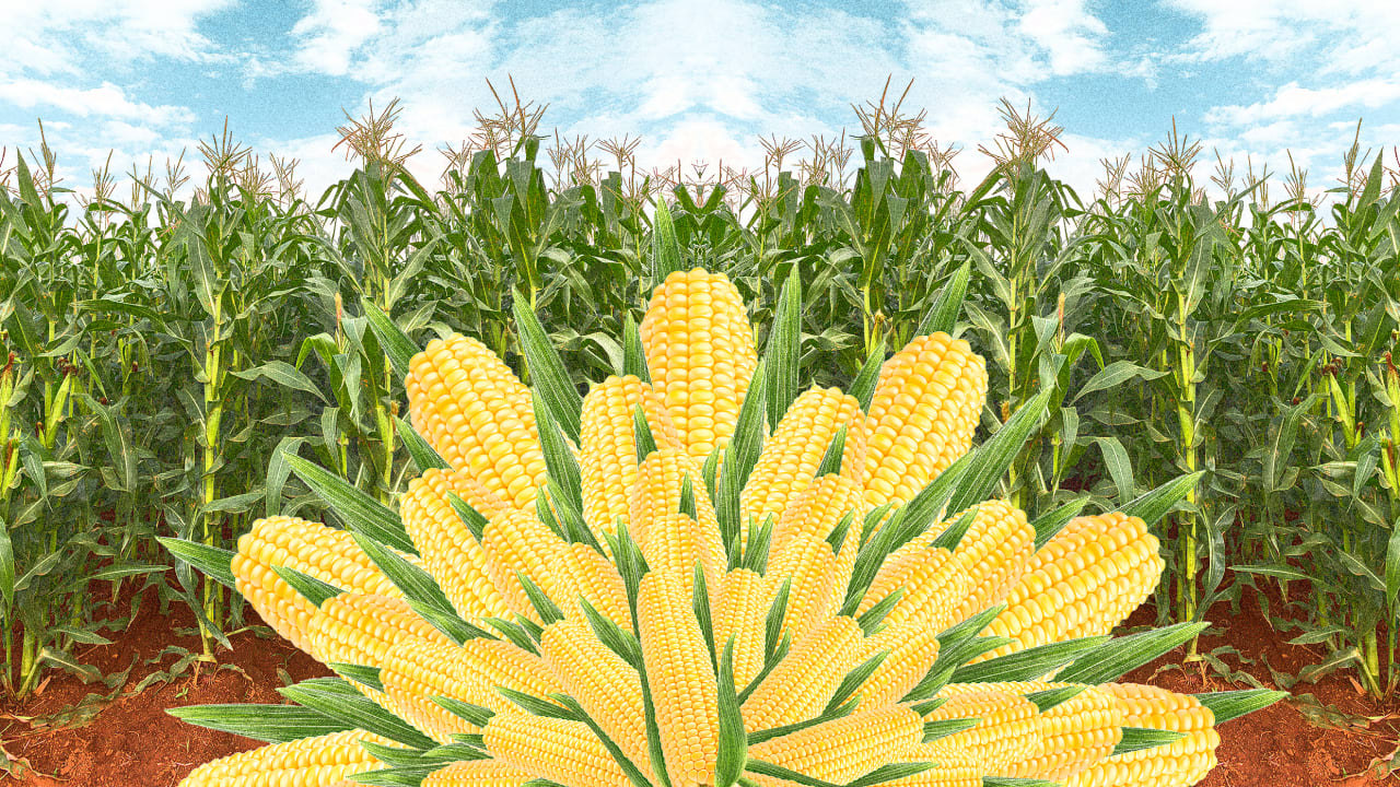 It would cost just 330 billion to end global hunger by 2030