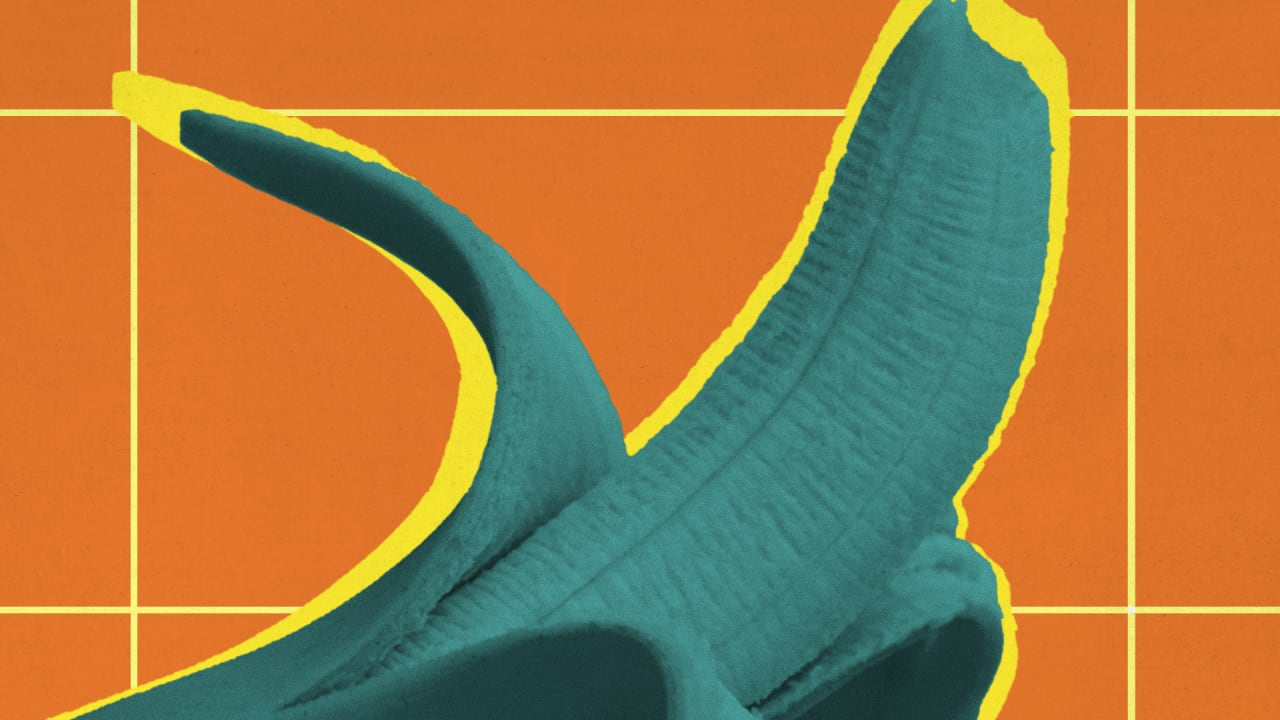 Jeffrey Toobin Zoom incident defenders: Maybe just don't