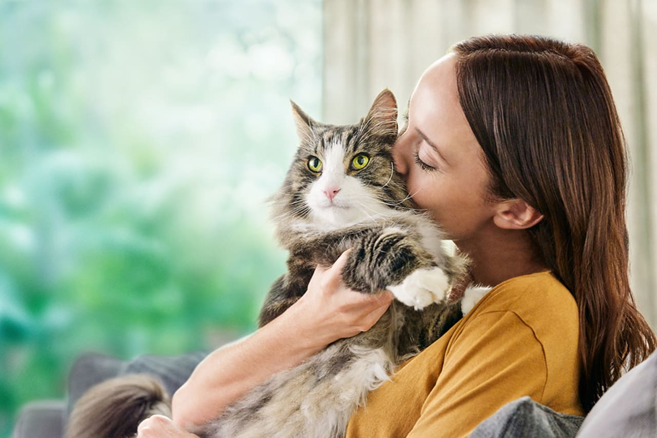How An Innovative New Pet Food Is Providing Help For Cat Lovers