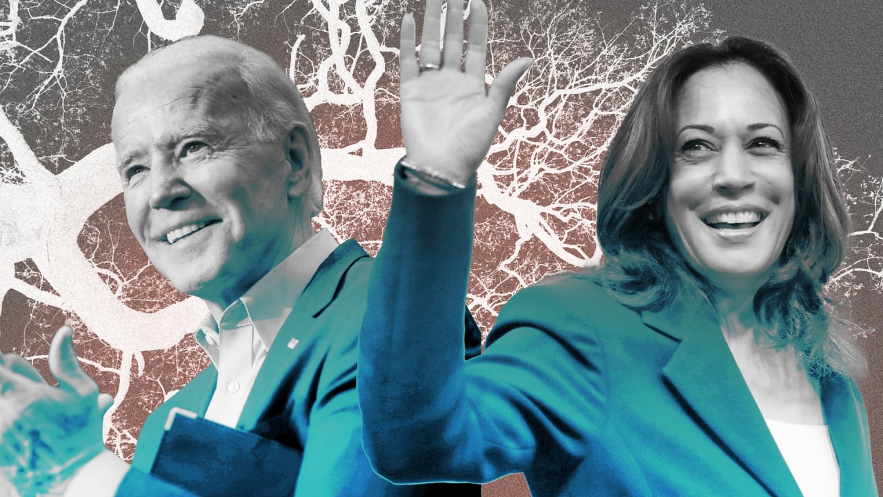3 ways gender 'brain diversity' can make Joe Biden and Kamala Harris better leaders