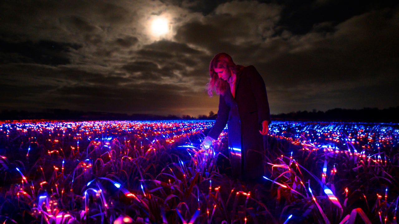 This stunning light display could make crops more sustainable - Vimarsana News