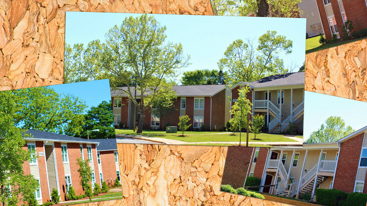 Charlotte May Have Cracked The Code On Affordable Housing Here s How charlotte-may-have-cracked-the-code-on-affordable-housing-here-s-how
