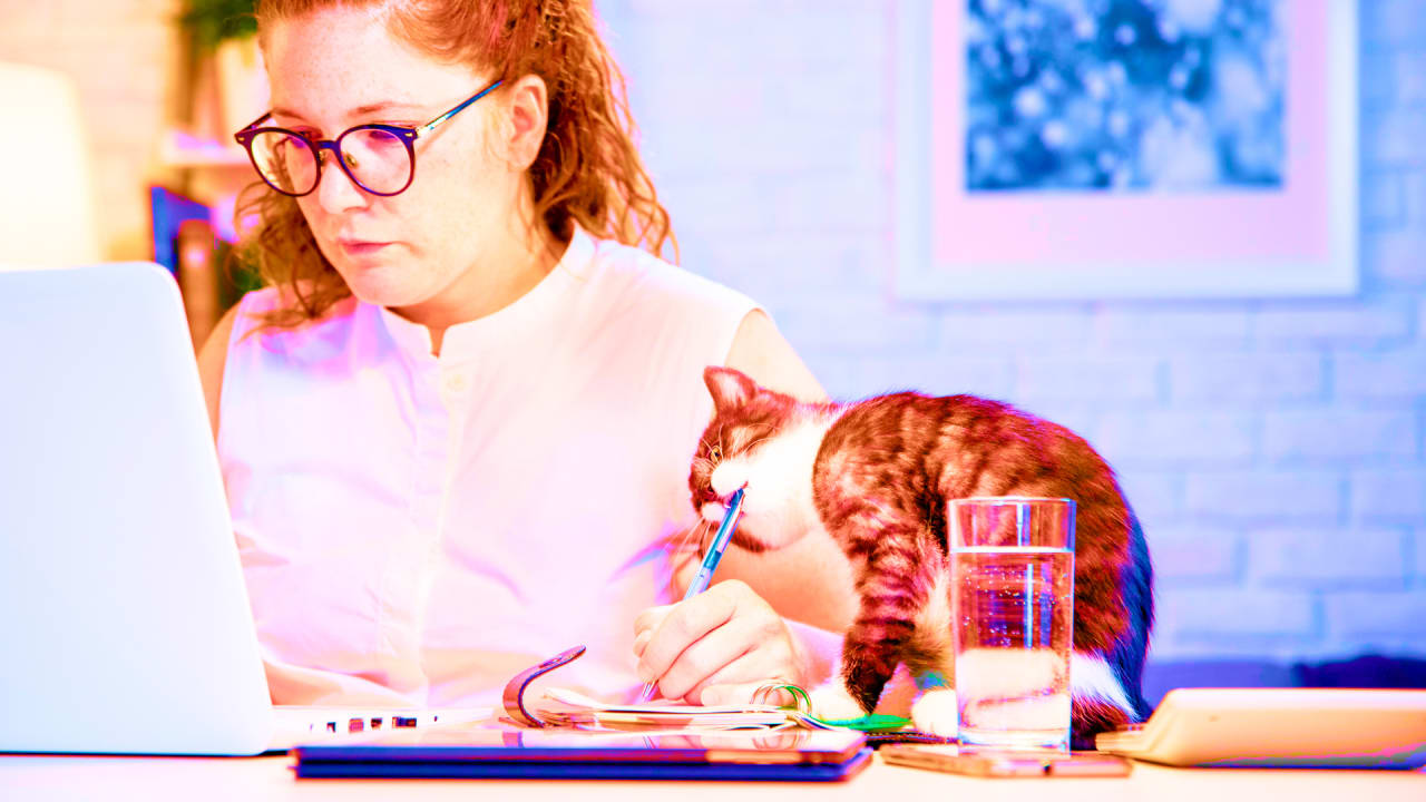 Distraction-busting tips for the remote workplace