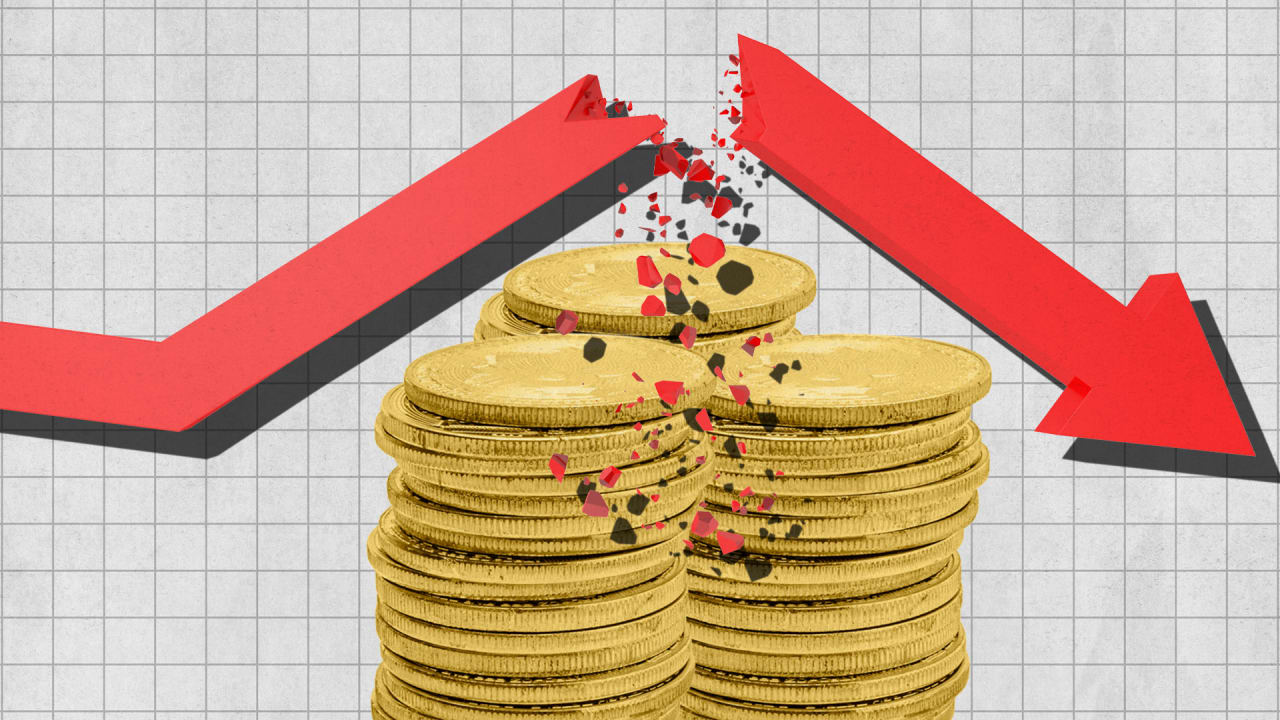 Day after Dogeday: investors in Dogecoin feel the pain after the cryptocurrency flops Day after Dogeday: investors in Dogecoin feel the pain after the cryptocurrency flops