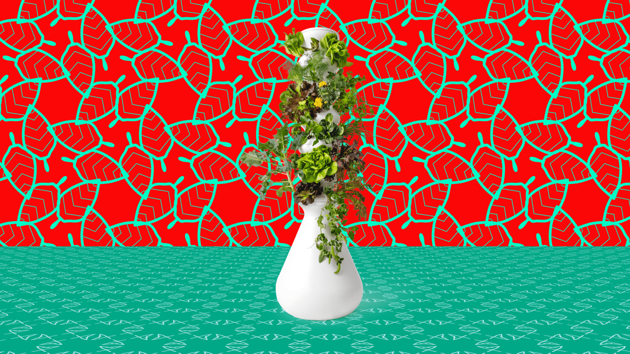 Review Lettuce Grow's Farmstand indoor vegetable garden has changed t