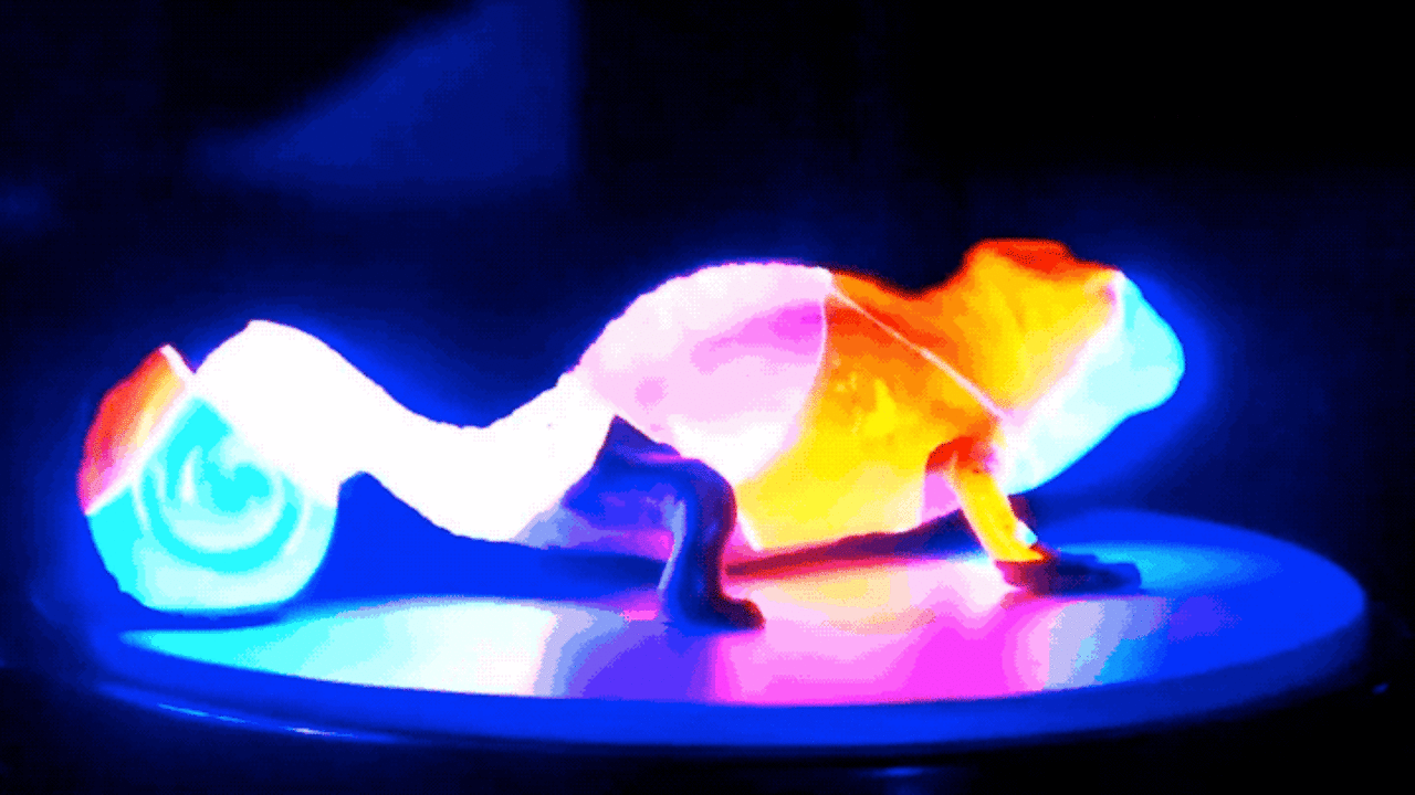 Could MIT's color-changing paint keep us using stuff longer?