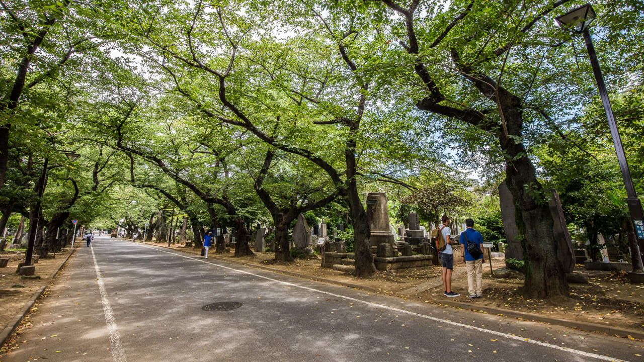 Japan has a thoughtful new way to bury the dead