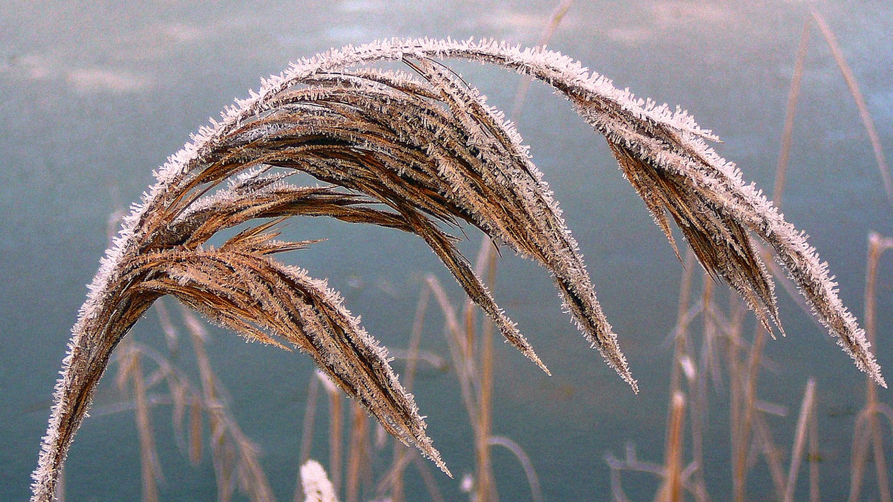 The Little Ice Age shows that small climate changes can have devastati