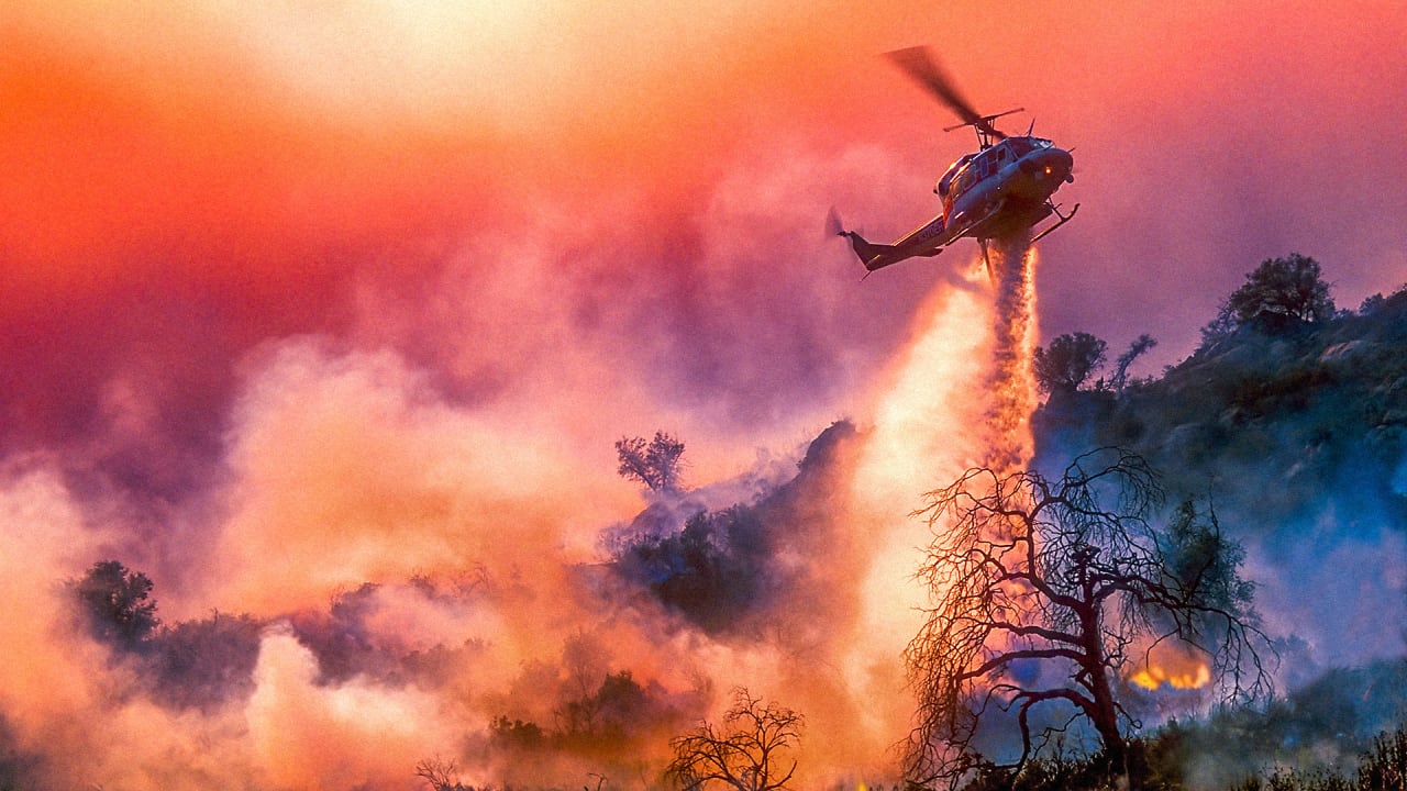West Coast wildfires simulation shows decline after decade