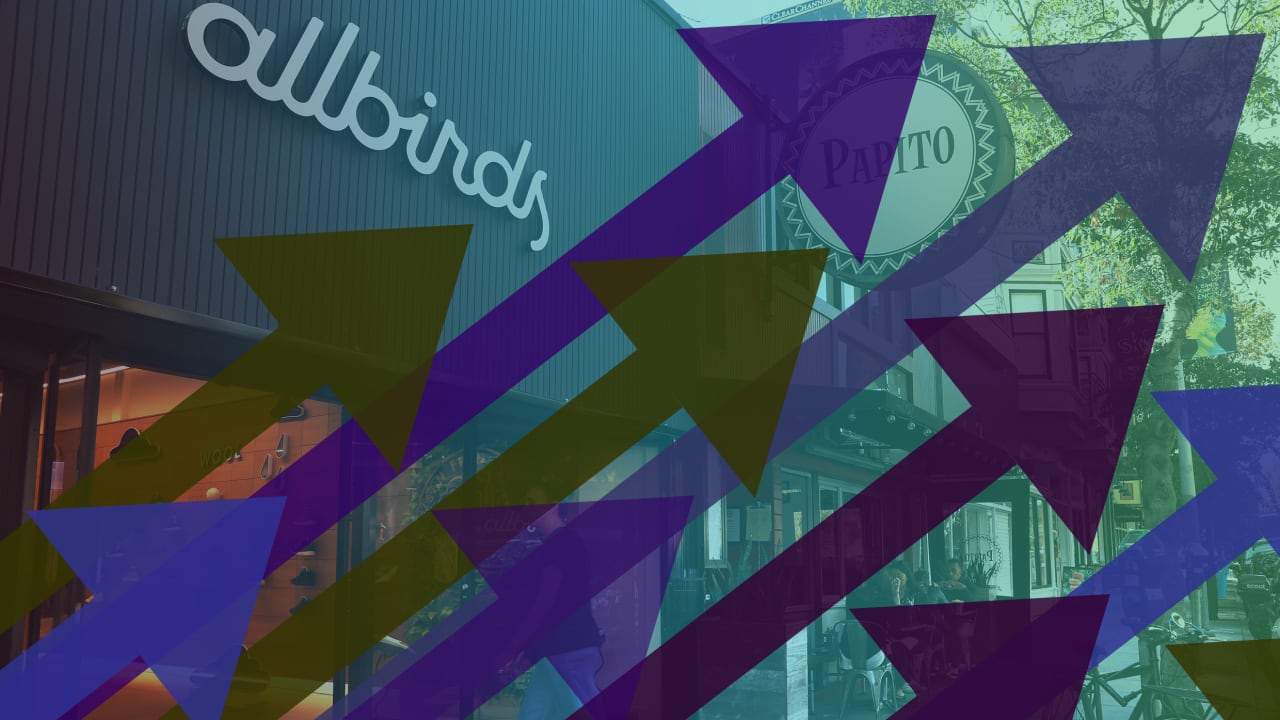 allbird stock