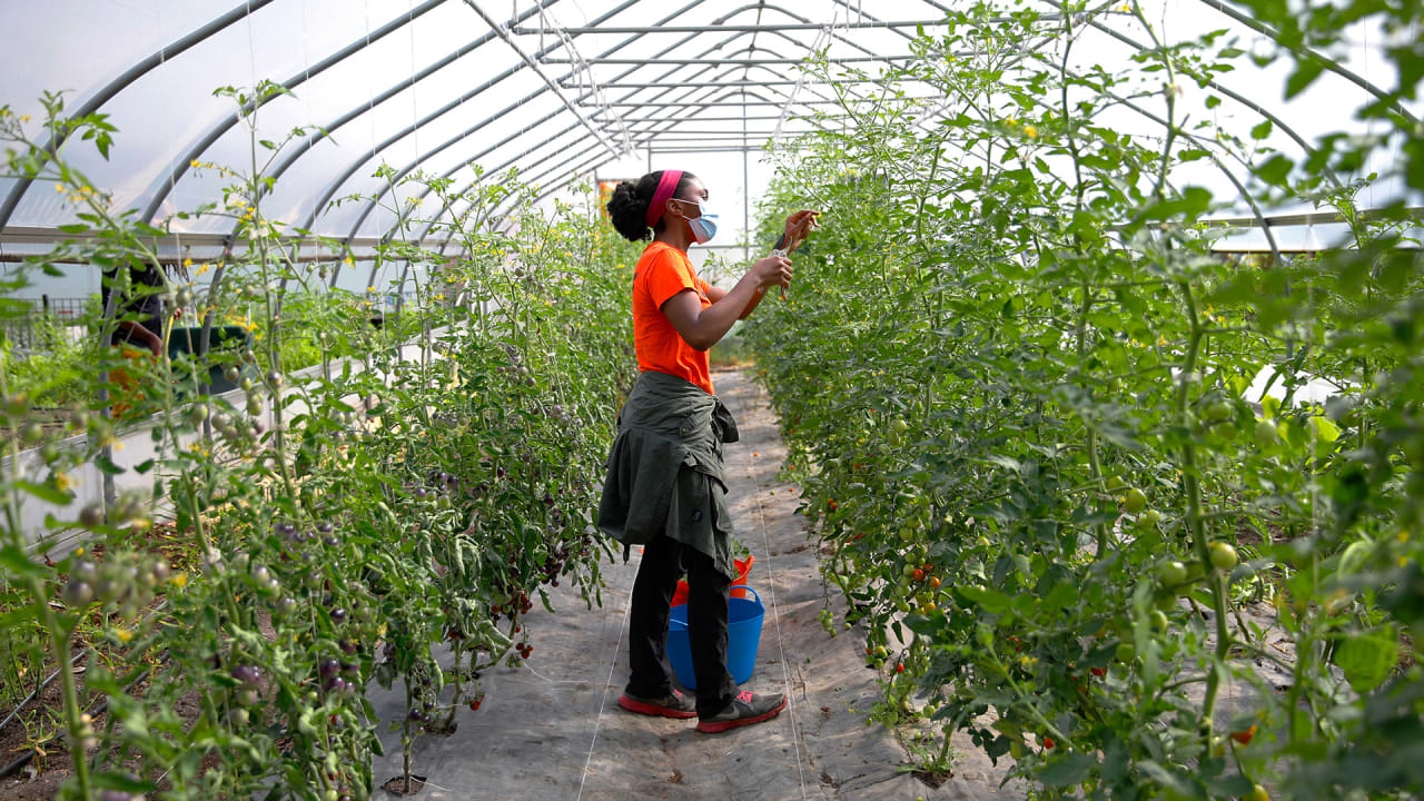 Walmart heir Lukas Walton launches Builders Vision to reshape the food