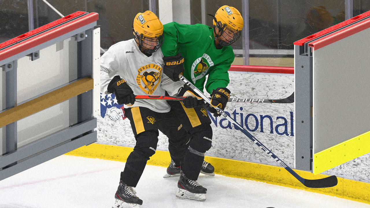 How A Devastating NHL Crash Led To Safer Hockey Rink Boards how-a-devastating-nhl-crash-led-to-safer-hockey-rink-boards
