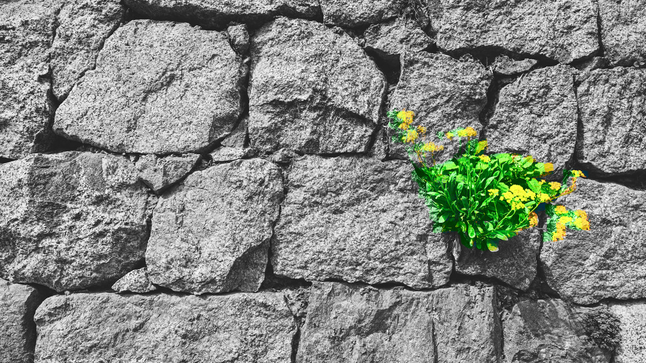 The power of solving small problems