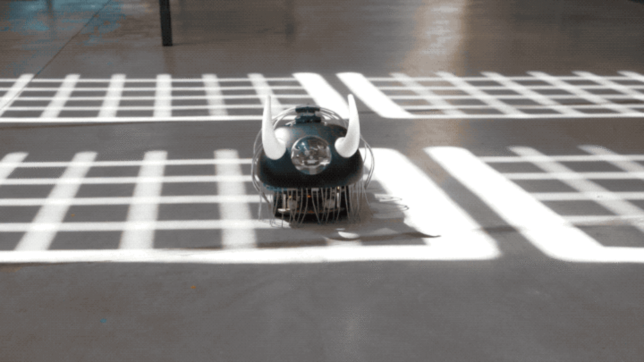 Robot swarm! When internet cookies chase you irl