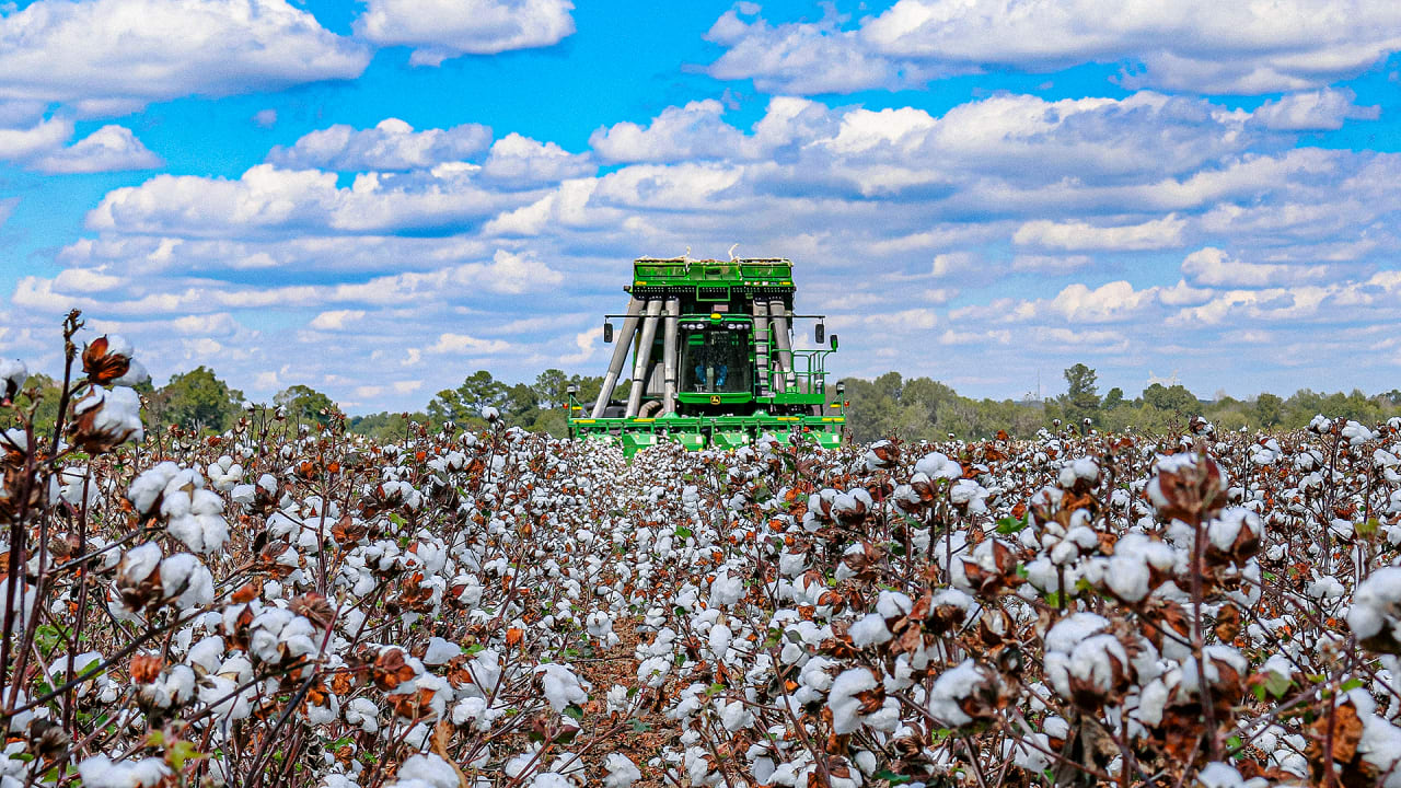 What we do in helping cotton growers to create long-term change