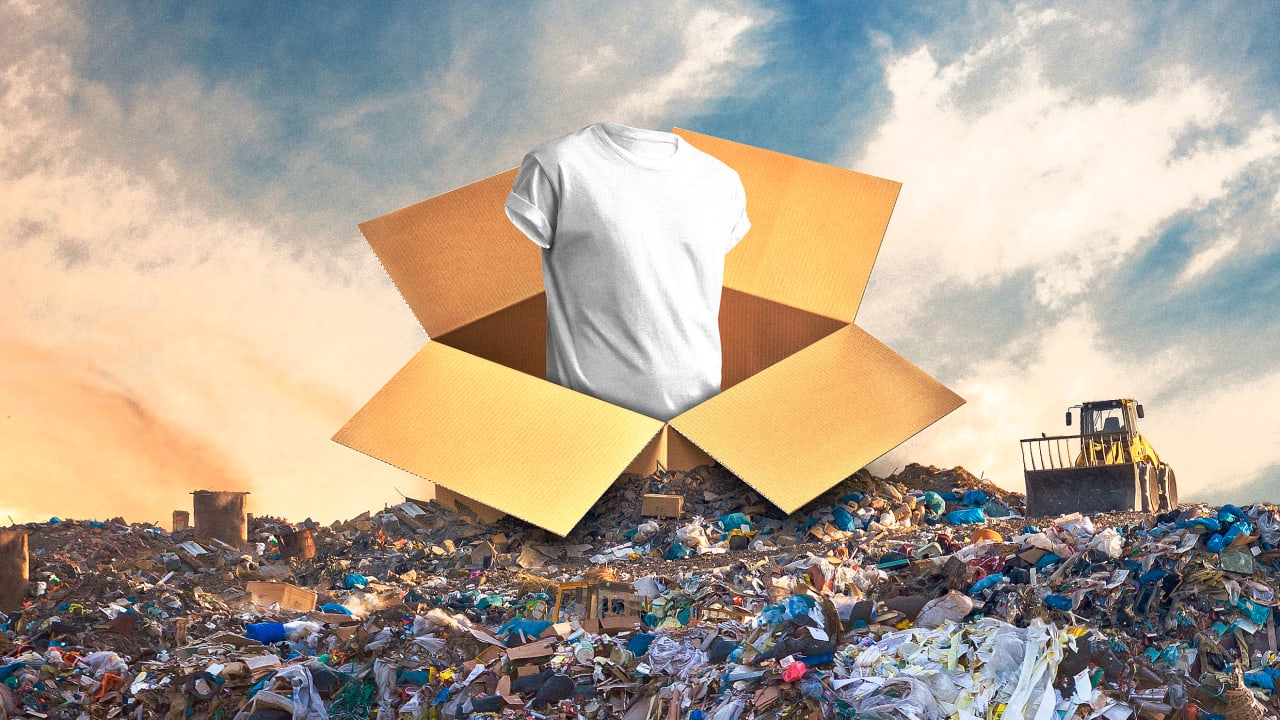 From Launch To Landfill My Websites Demise - ulpoghe