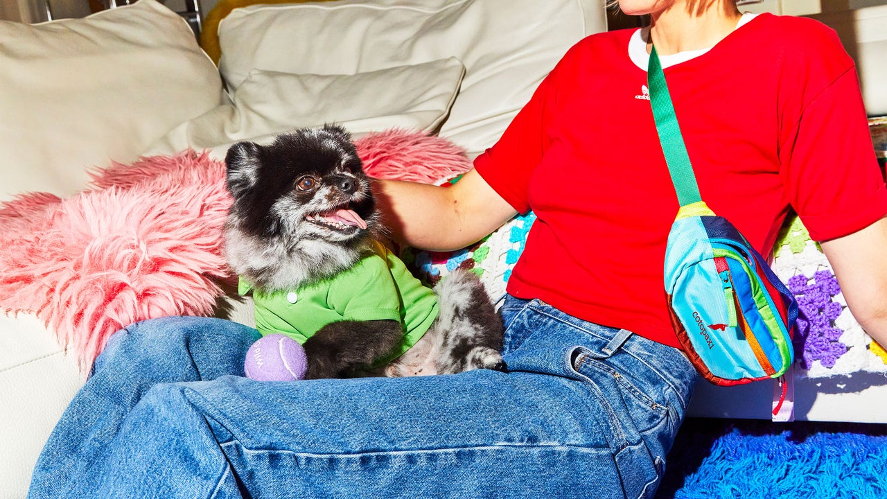 A Stylish Dog Carrier And More Pet Accessories Fast Company Editors Lo a-stylish-dog-carrier-and-more-pet-accessories-fast-company-editors-lo
