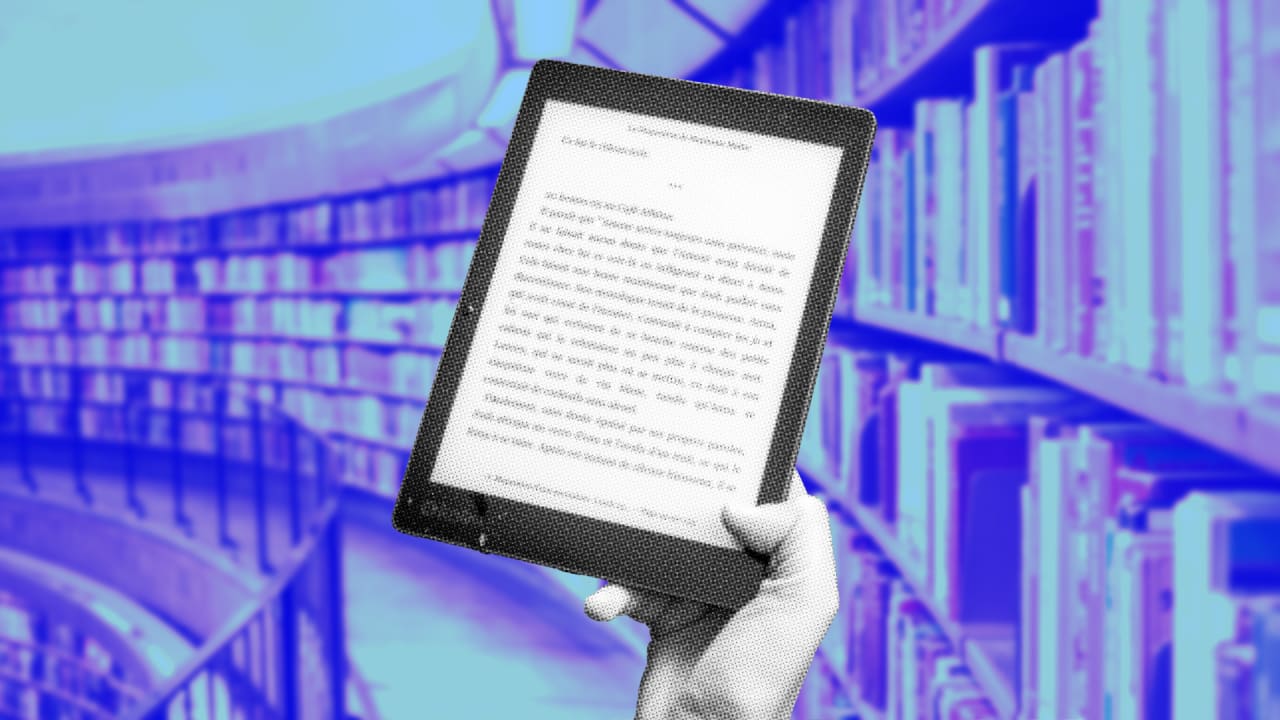 Libraries wage ebook battle with states' help