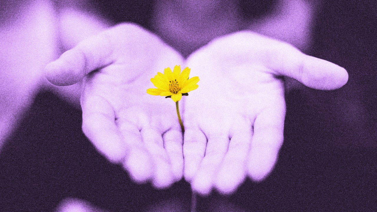 Training Your Brain To Get Better At Forgiveness