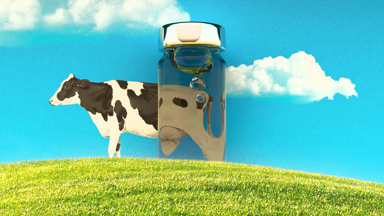 can-a-vaccine-for-cows-slash-methane-emissions