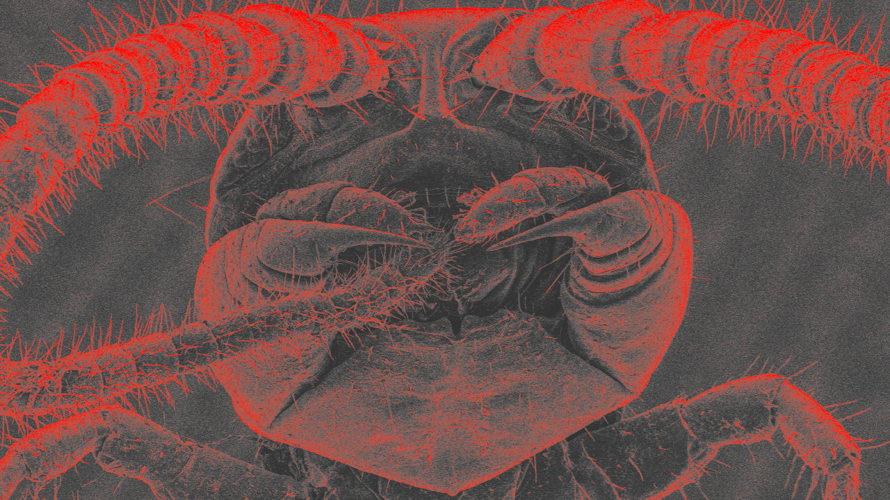 Climate Change Is Making Superbug Drug Resistance Worse Un